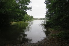 IMG_9875