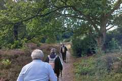 IMG-20250913-WA0010