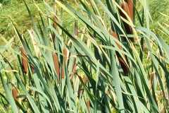 IMG-20250913-WA0011