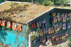IMG-20250913-WA0012