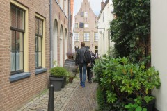 IMG_8351