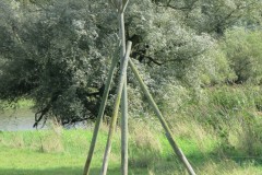 IMG_8385