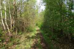 IMG-20240413-WA0000
