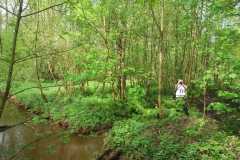 IMG-20240413-WA0002
