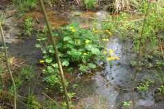 IMG-20240413-WA0003