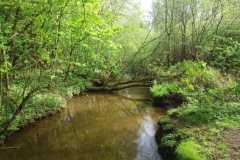 IMG-20240413-WA0007