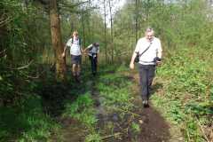 IMG-20240413-WA0009
