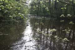 IMG-20240413-WA0012