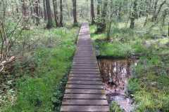 IMG-20240413-WA0015