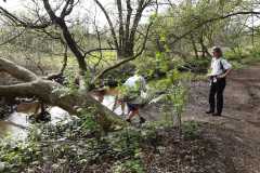 IMG-20240413-WA0022