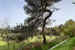 IMG-20240413-WA0024