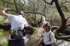 IMG-20240413-WA0027