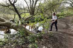IMG-20240413-WA0029