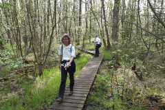 IMG-20240413-WA0033
