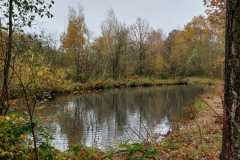 IMG-20251116-WA0001