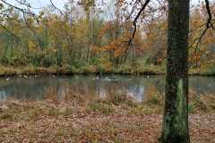 IMG-20251116-WA0003