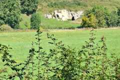 IMG-20250807-WA0005