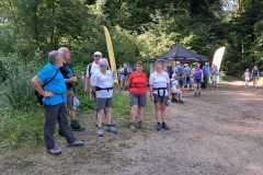 IMG-20250810-WA0013
