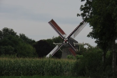 IMG_0269