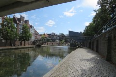 IMG_7397