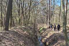 IMG-20250405-WA0003
