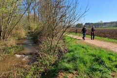 IMG-20250405-WA0012