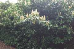 IMG-20240406-WA0001
