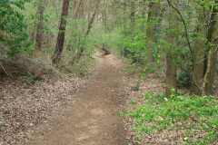 IMG-20240406-WA0002
