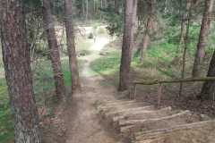 IMG-20240406-WA0003