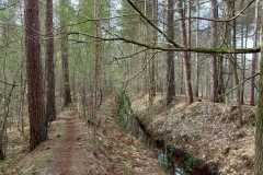 IMG-20240406-WA0006