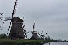 FB_IMG_1717255105395