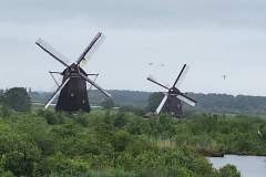 FB_IMG_1717255169551