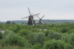 IMG_9291