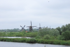 IMG_9292