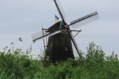 IMG_9293