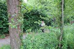 IMG-20250524-WA0003