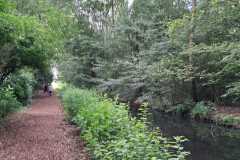 IMG-20260606-WA0019