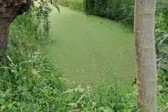 IMG-20260606-WA0023