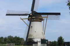 IMG_0873