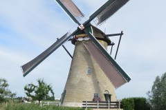 IMG_9271