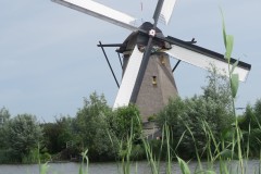 IMG_9286