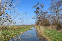 IMG_0608