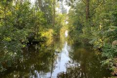 IMG-20240921-WA0005