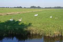 IMG-20240921-WA0008