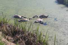 IMG-20240921-WA0010