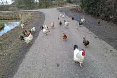 IMG-20260214-WA0005