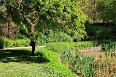 IMG-20260426-WA0008