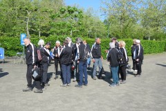 IMG_8811