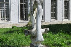 IMG_8871