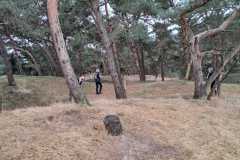 IMG-20250301-WA0000